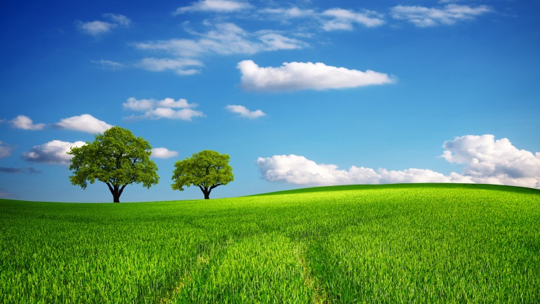 tree, field, green, oak, hill, horizon, sky, spring, summer, lawn, over, outdoor, sunlight, meadow, clear, natural, agriculture, white, earth, cloud, view, sunrise, bright, sunny, grass, light, farm, clean, sun, season, pasture, blue, weather, panorama, planet, country, banner, lush, beautiful, background, fresh, nature, land, environment, vacation, landscape